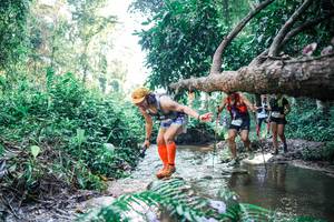 BIB: 
                            <button type="button" onclick="openModal(25439023)" class="btn btn-primary btn-sm float-right btn-popup" data-toggle="modal" data-target=".modal-high-quality">
                        <i class="fas fa-shopping-cart"></i> Add to Cart
                    </button>
                                            <button type="button" onclick="isThisMe(25439023, true)" class="btn btn-success btn-sm float-right btn-popup btn-isme hidden" data-toggle="tooltip" data-placement="bottom" title="นี่คือรูปของคุณใช่ไหม คลิกที่นี่เพื่อเอาเข้าอัลบั้ม">
                        <i class="fas fa-plus"></i> Add to album
                    </button>
                    <button type="button" onclick="isThisMe(25439023, false)" class="btn btn-warning btn-sm float-right btn-popup btn-isnotme hidden">
                        <i class="fas fa-ban"></i> Remove from album
                    </button>